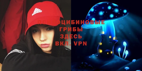 кокс Костерёво