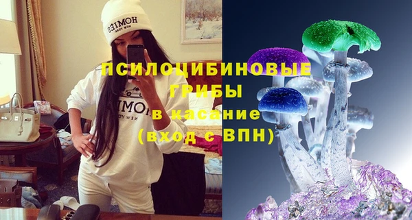 соль курить ск Козловка