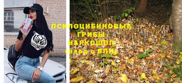 синтетический гашиш Коряжма