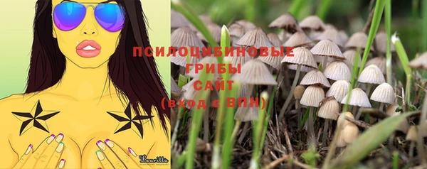 a pvp Корсаков