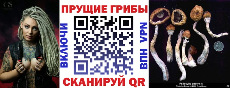 Псилоцибиновые грибы MAGIC MUSHROOMS  Купить закладки  Горбатов 